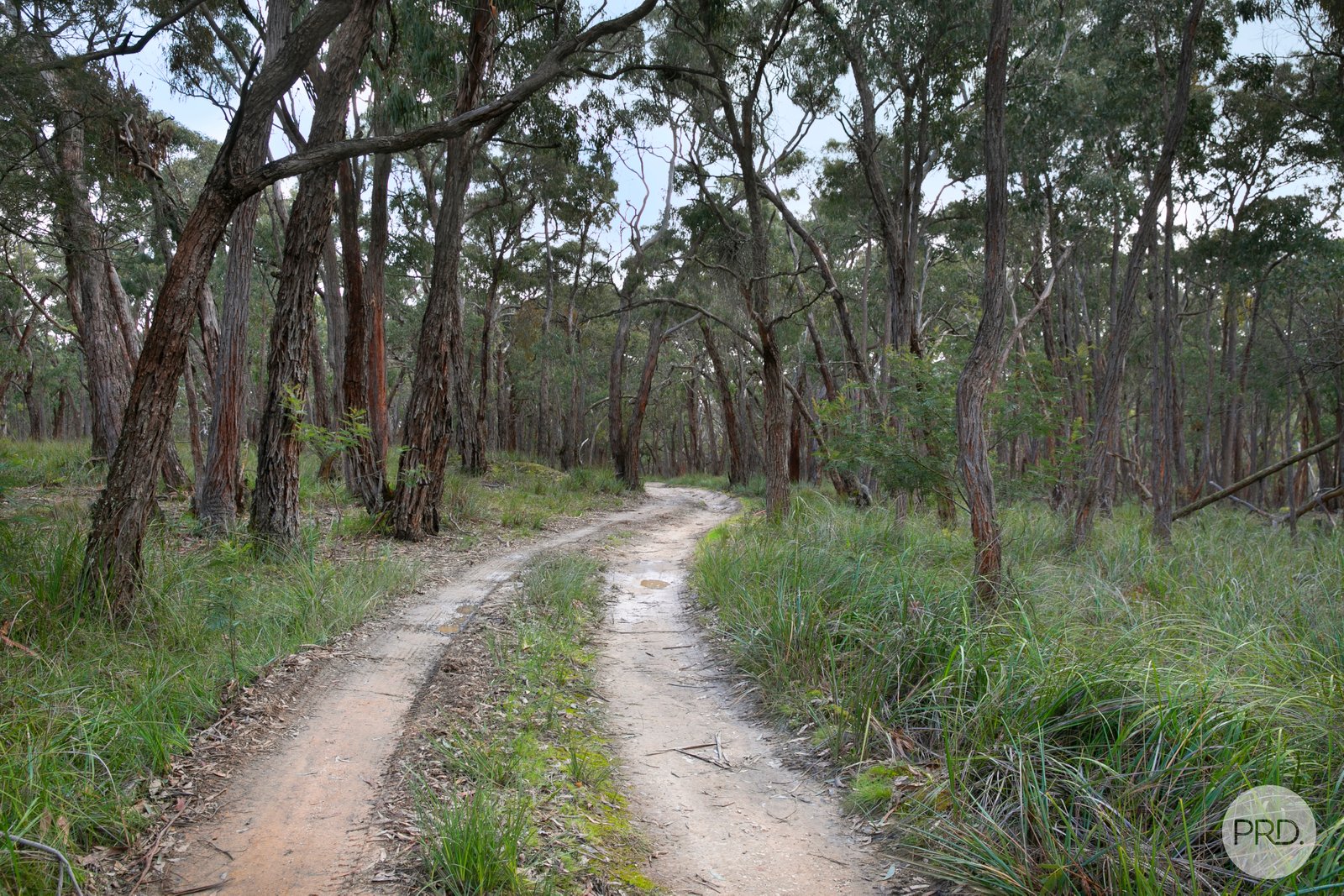  Donald McLeans Road BERRINGA 7