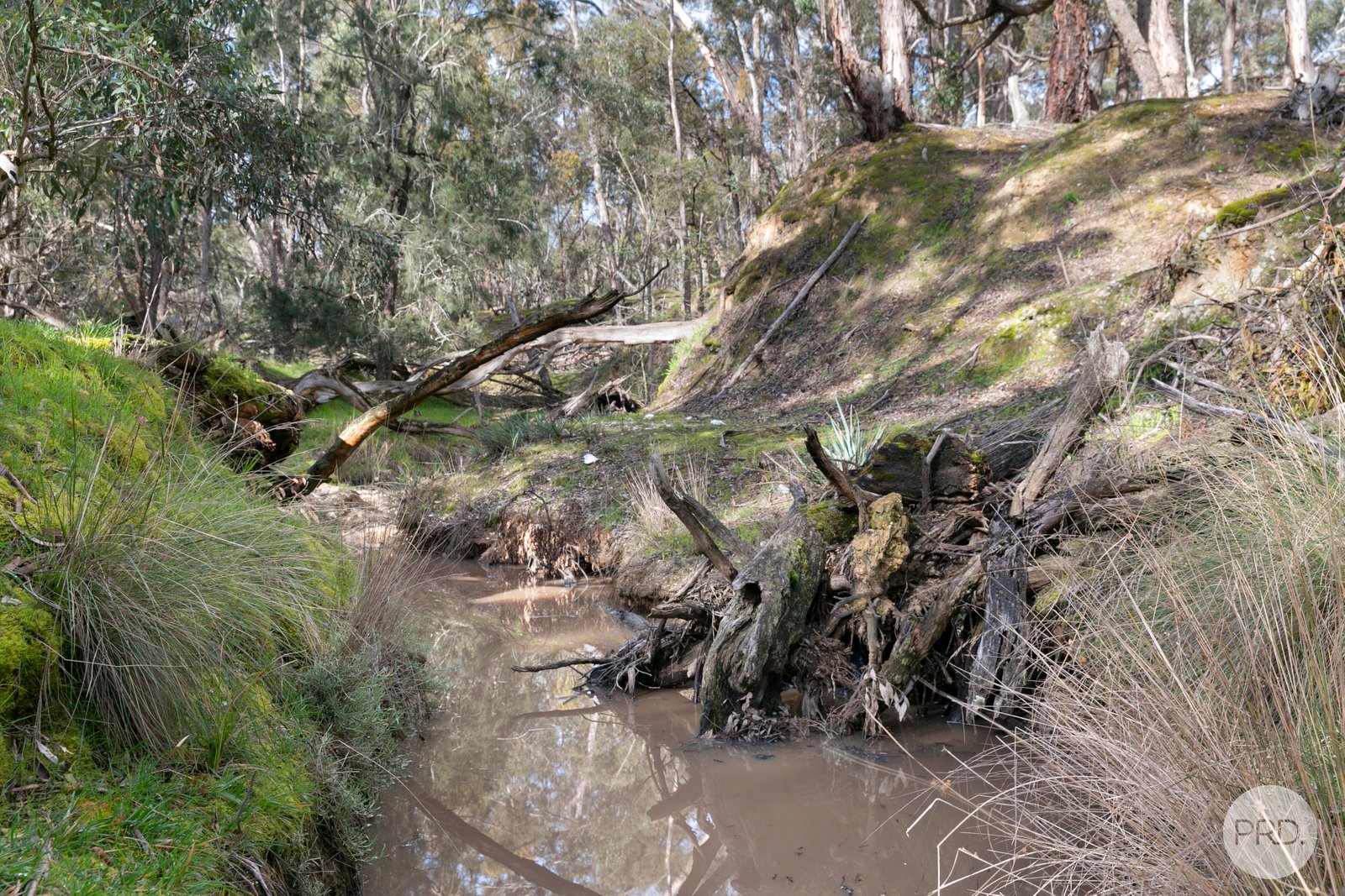  Donald McLeans Road BERRINGA 8