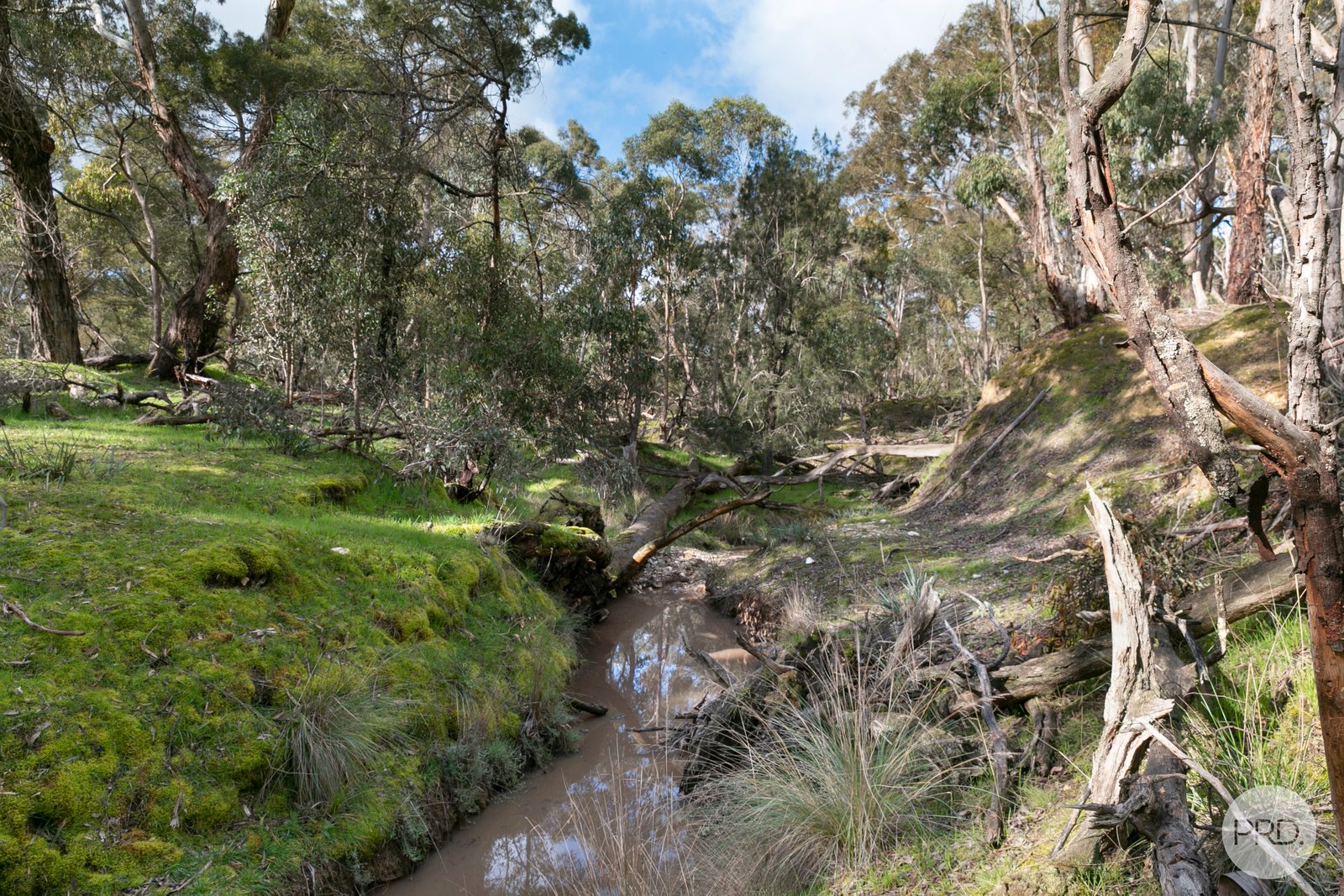  Donald McLeans Road BERRINGA 9