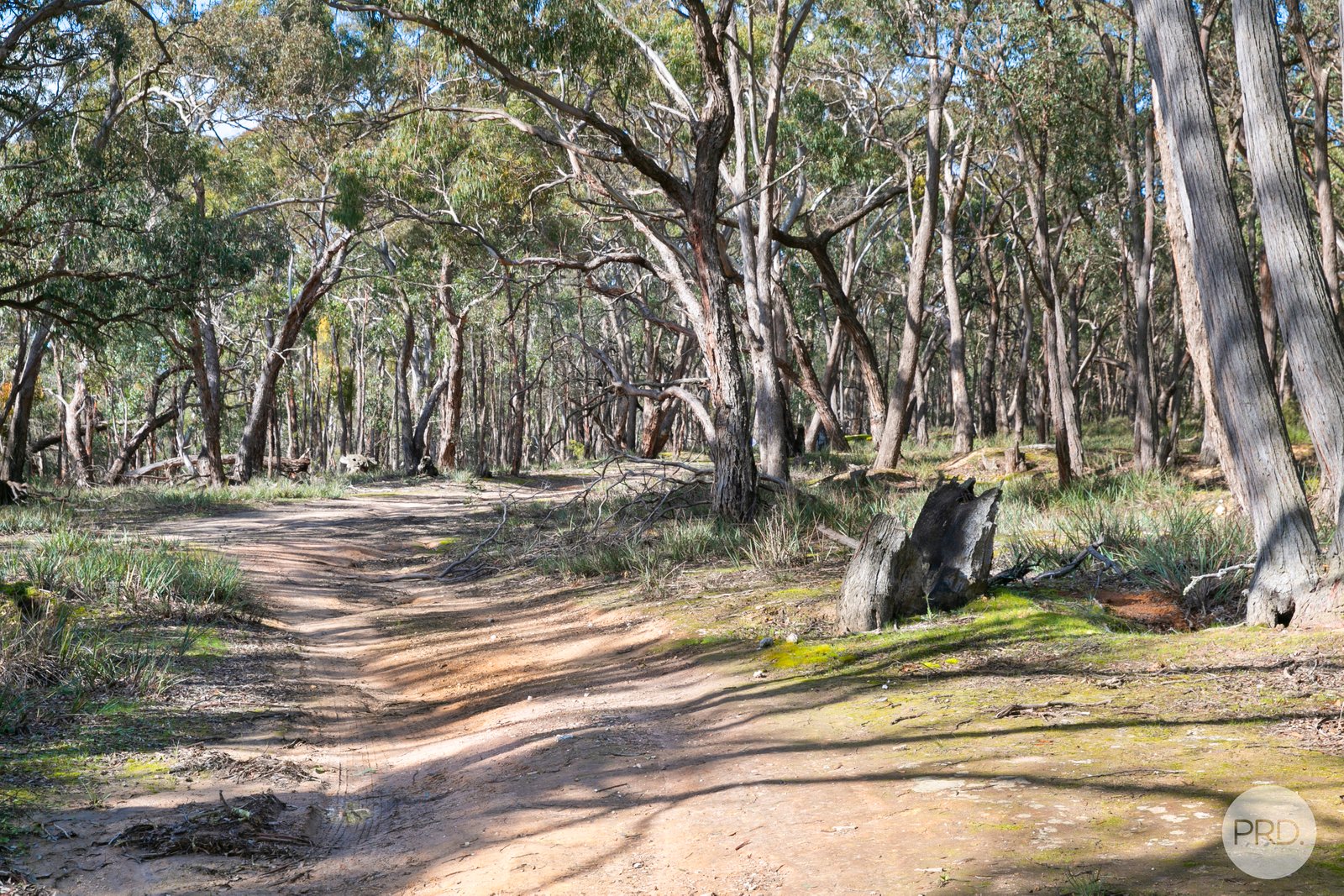  Donald McLeans Road BERRINGA 12