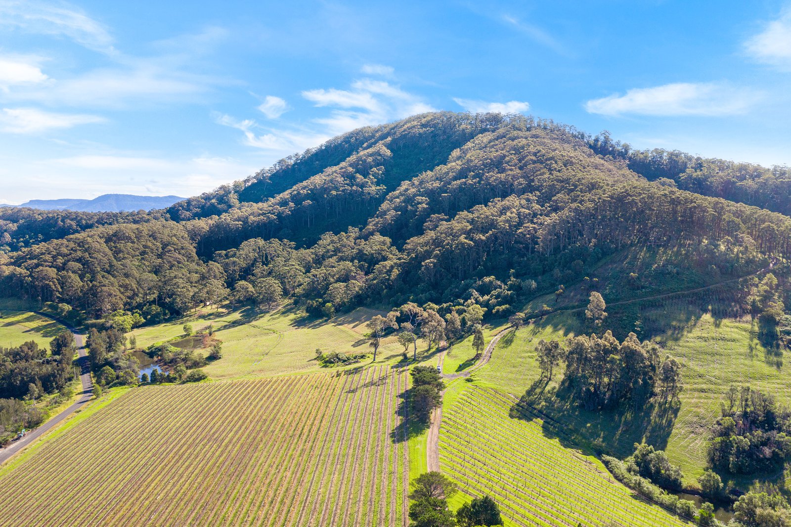 Coolangatta Mountain, Coolangatta NSW 2535