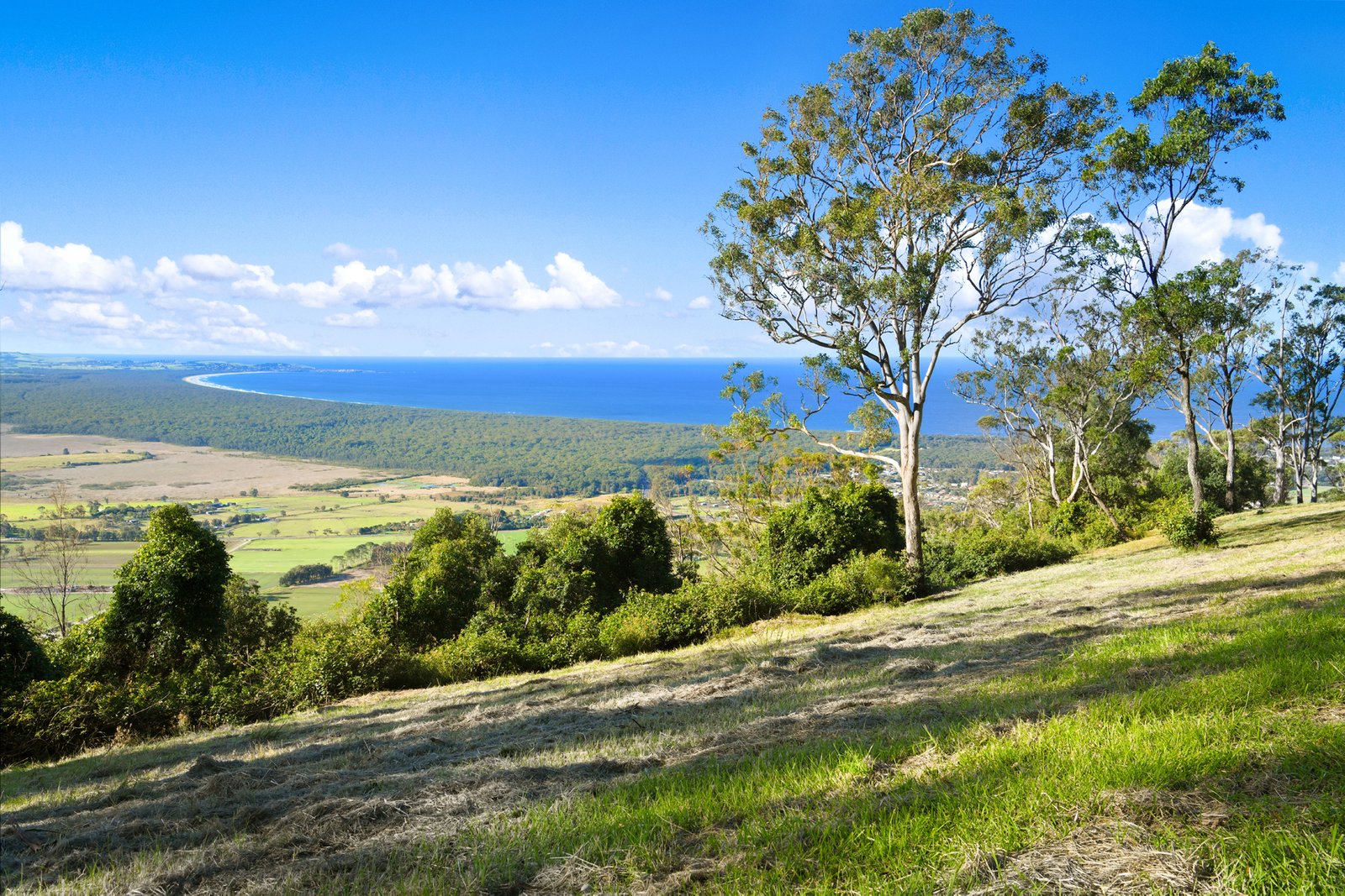 Coolangatta Mountain, Coolangatta NSW 2535