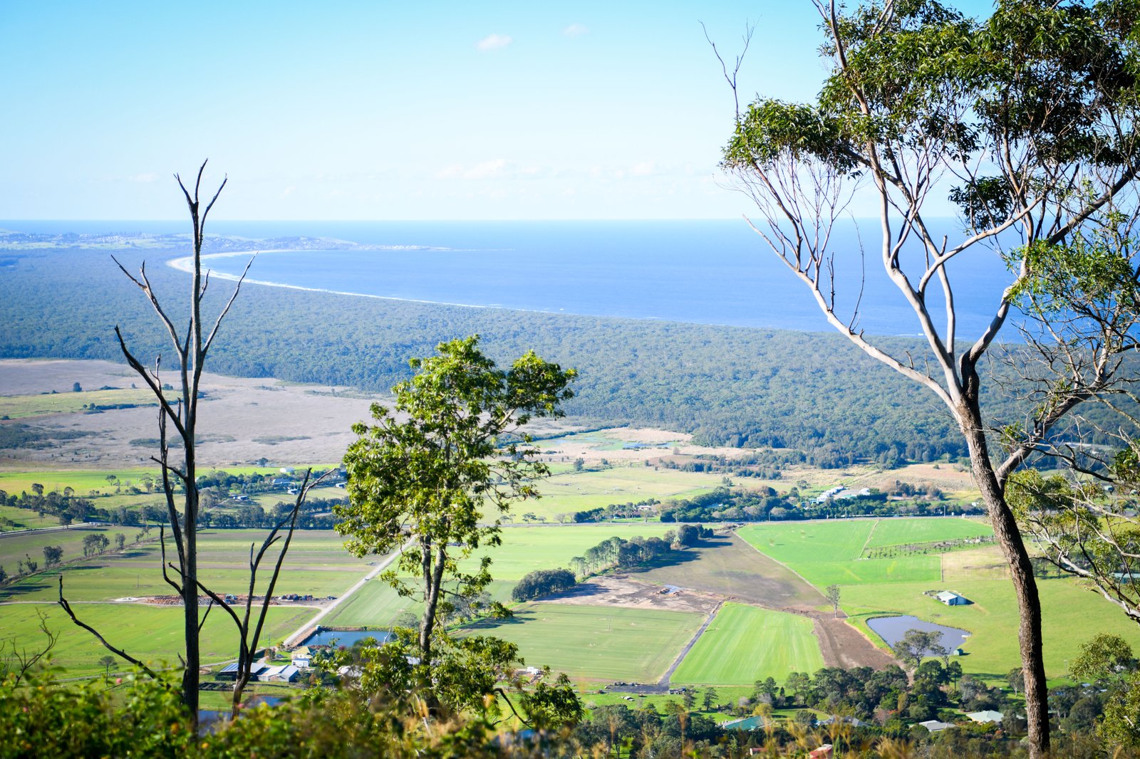Coolangatta Mountain, Coolangatta NSW 2535