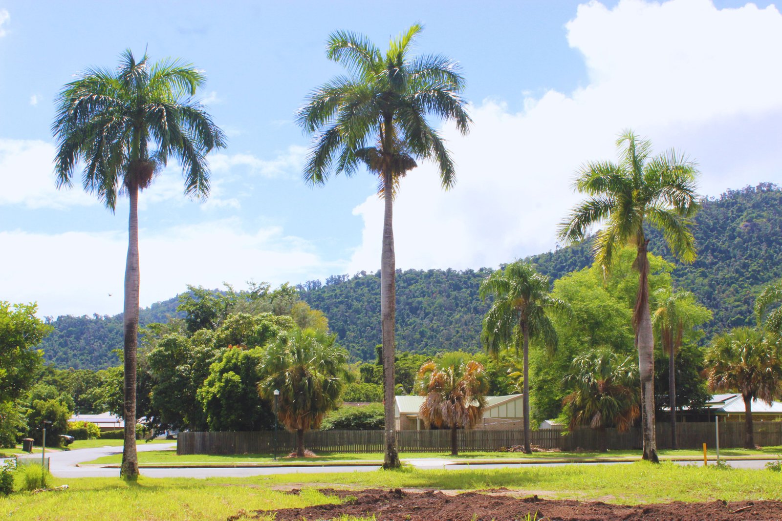 Emperor Estate 62 Jubilee Pocket Road JUBILEE POCKET 12