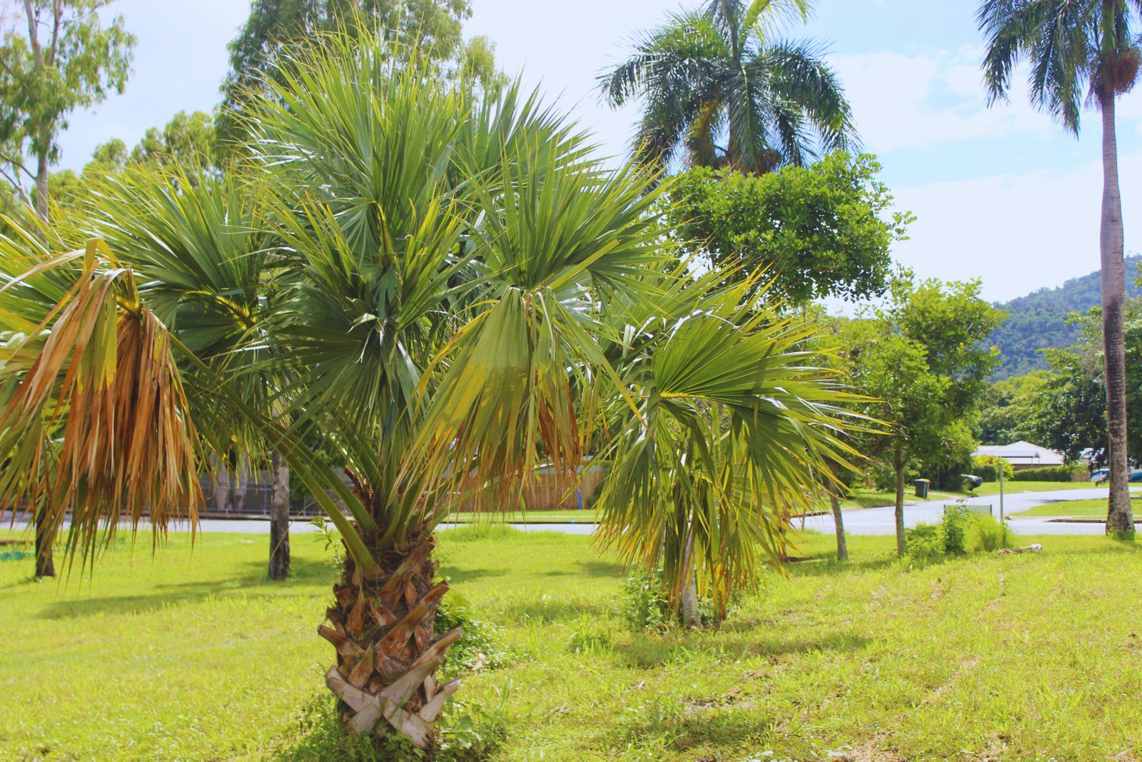 Emperor Estate 62 Jubilee Pocket Road JUBILEE POCKET 14