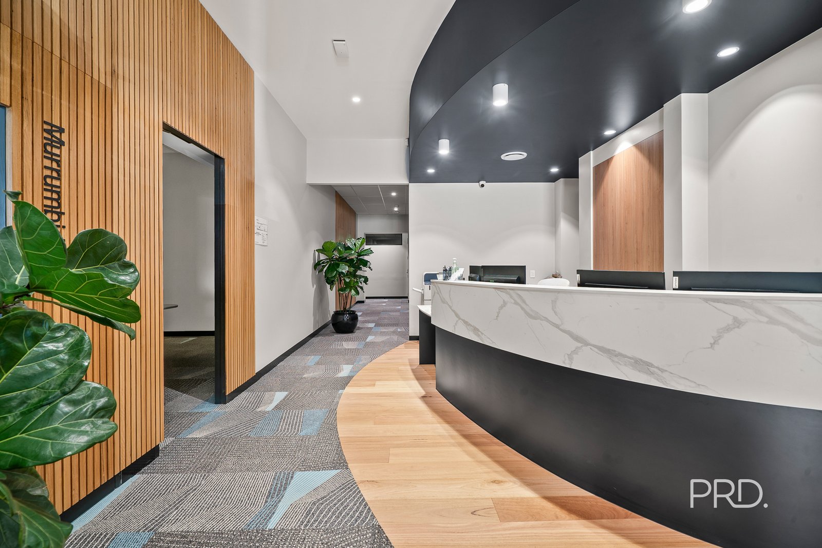 Ground Floor/63 Baylis Street WAGGA WAGGA 19