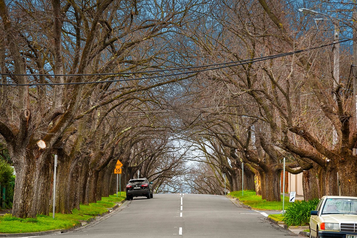 Real Estate and Property in Hawthorn, VIC