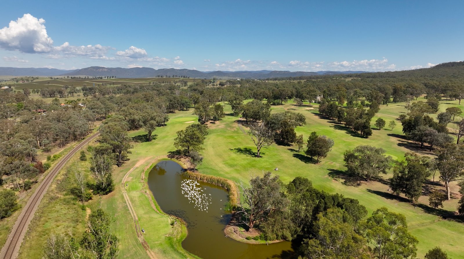  'Highfields Estate' Almond St  DENMAN 4