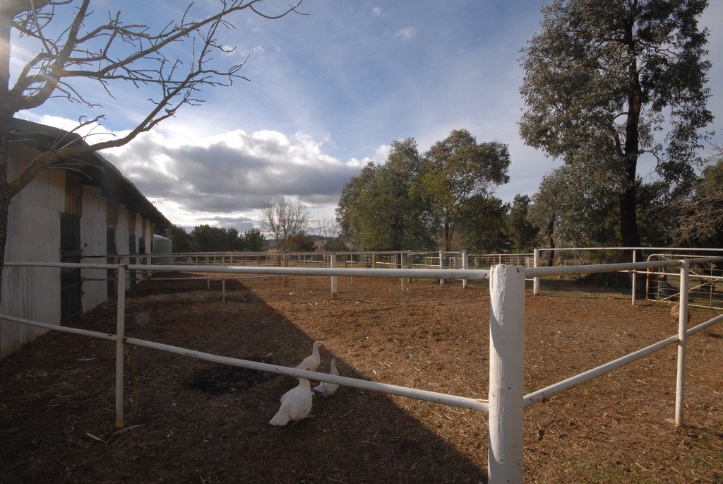  HOSKINSTOWN 13