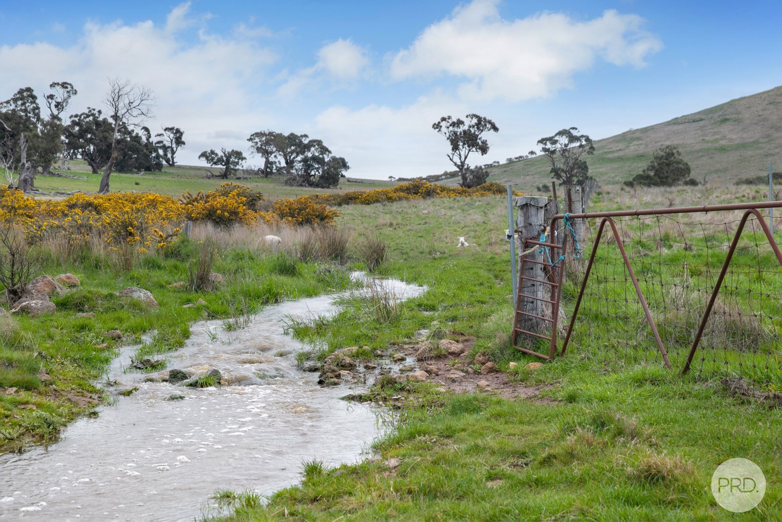  Kinnersleys Road MOUNT BOLTON 11