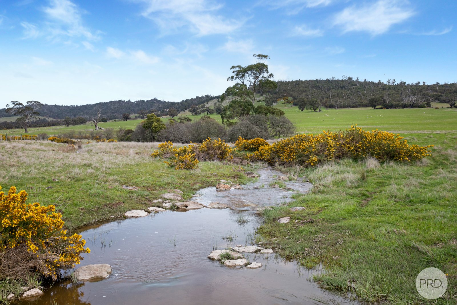  Kinnersleys Road MOUNT BOLTON 12