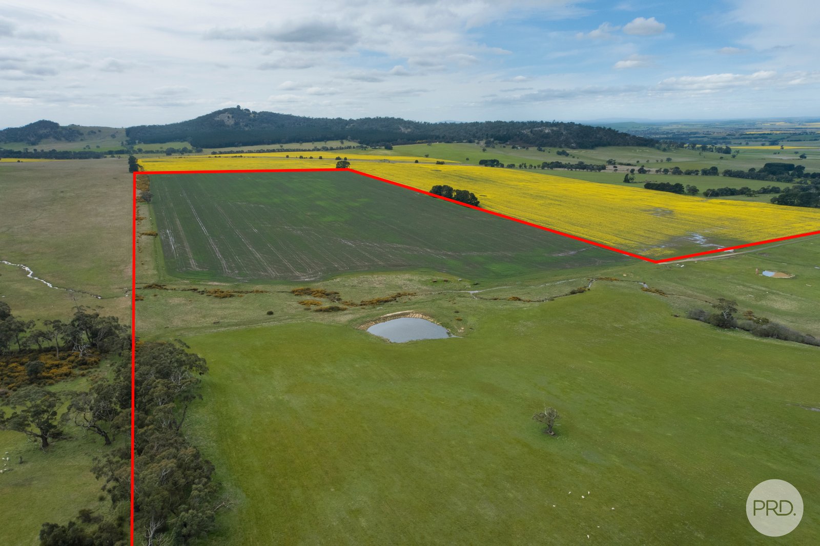  Kinnersleys Road MOUNT BOLTON 13