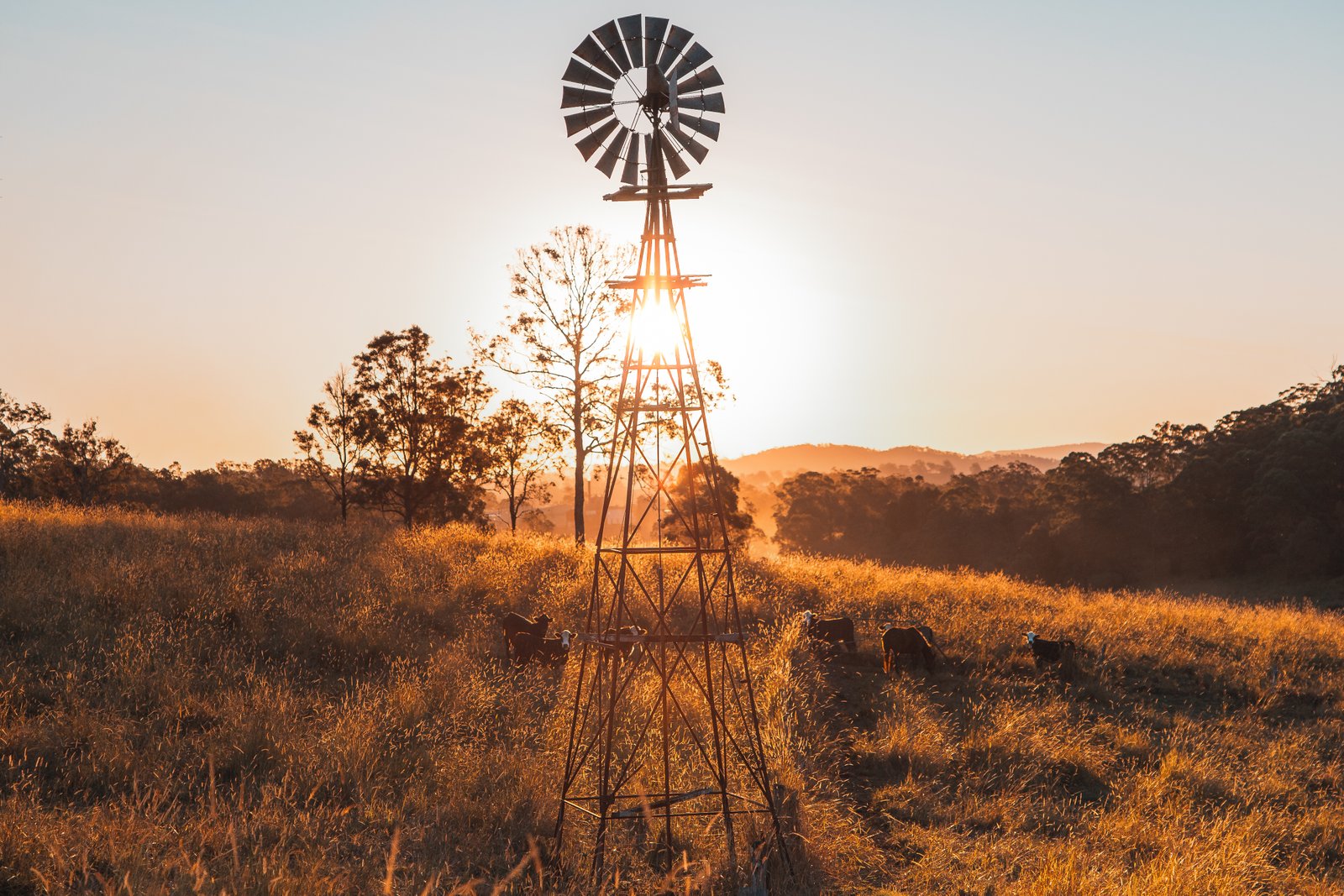  KYOGLE 17