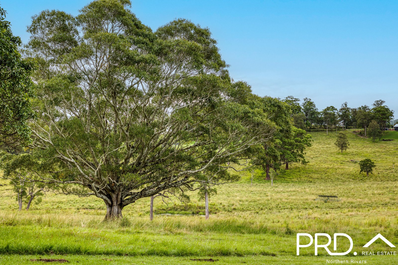  KYOGLE 18
