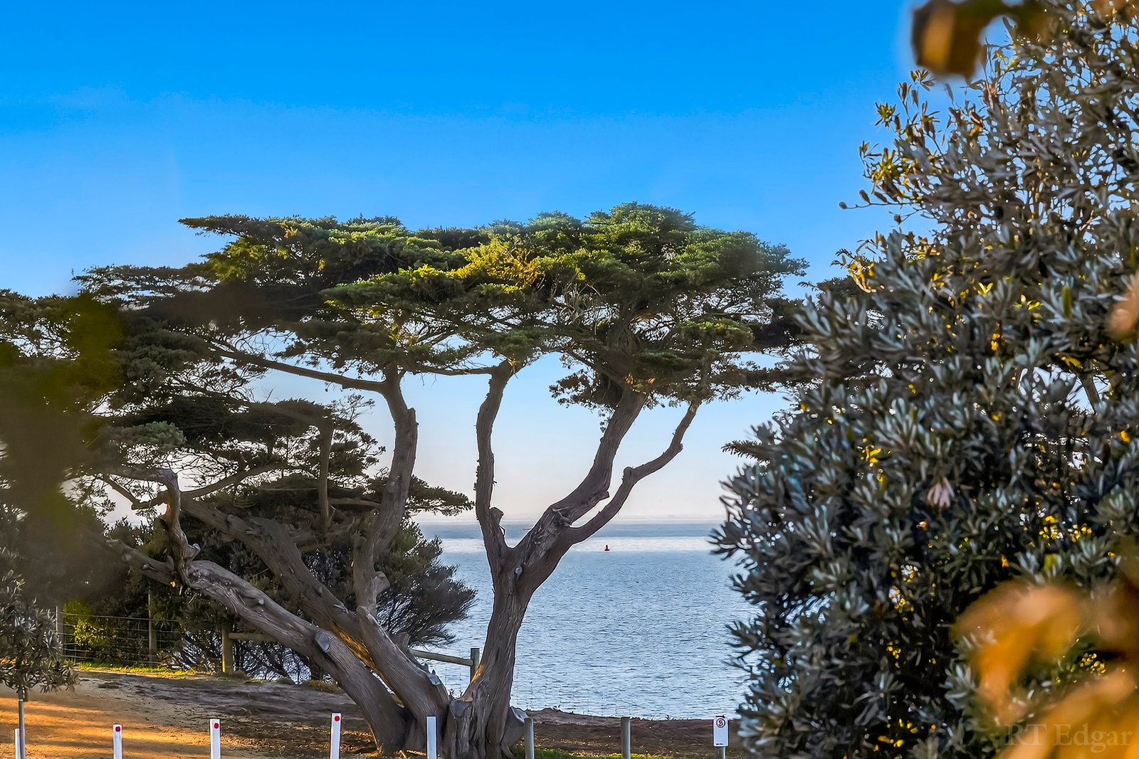 Real Estate and Property in Level 1, 101/1 Bluff Road, St Leonards, VIC