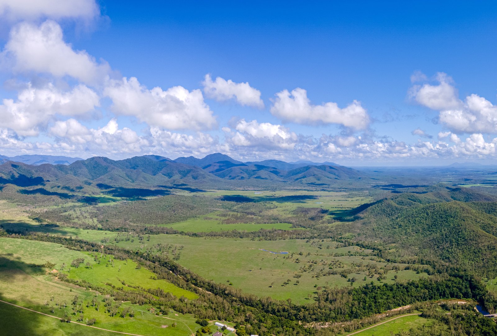 Lilly Waters Road  ANDROMACHE 1