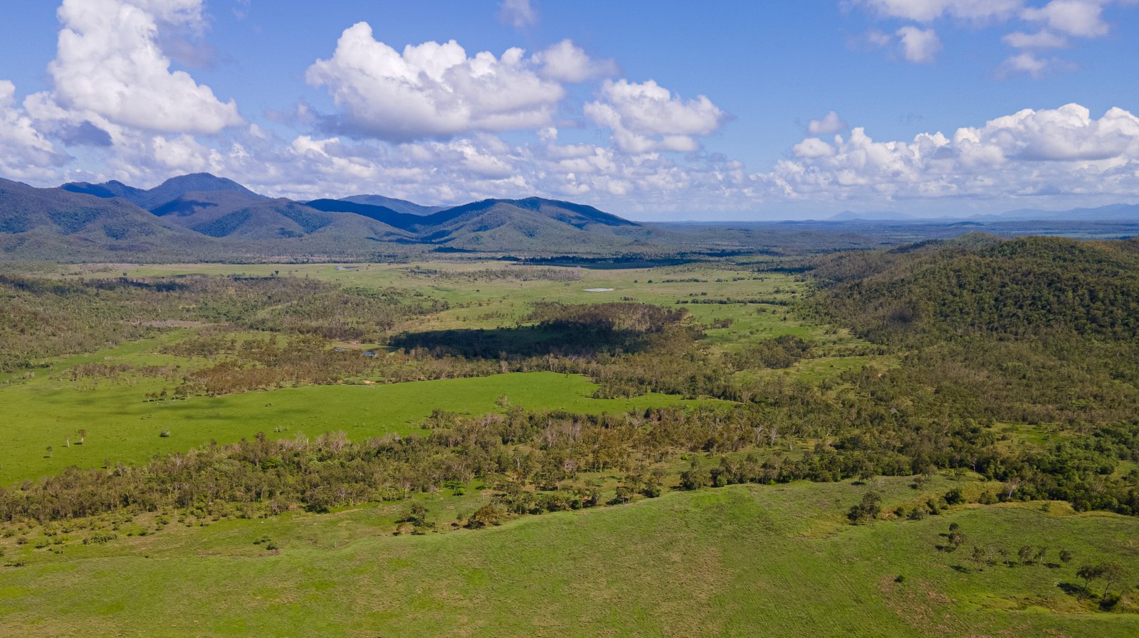 Lilly Waters Road  ANDROMACHE 2