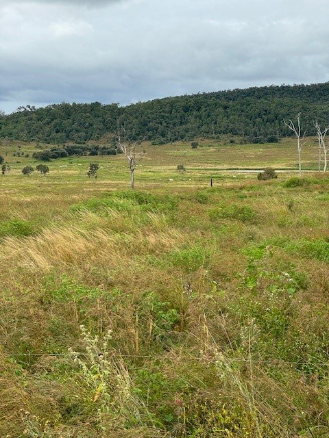 Lilly Waters Road  ANDROMACHE 4