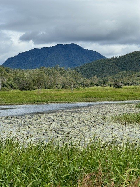 Lilly Waters Road  ANDROMACHE 5