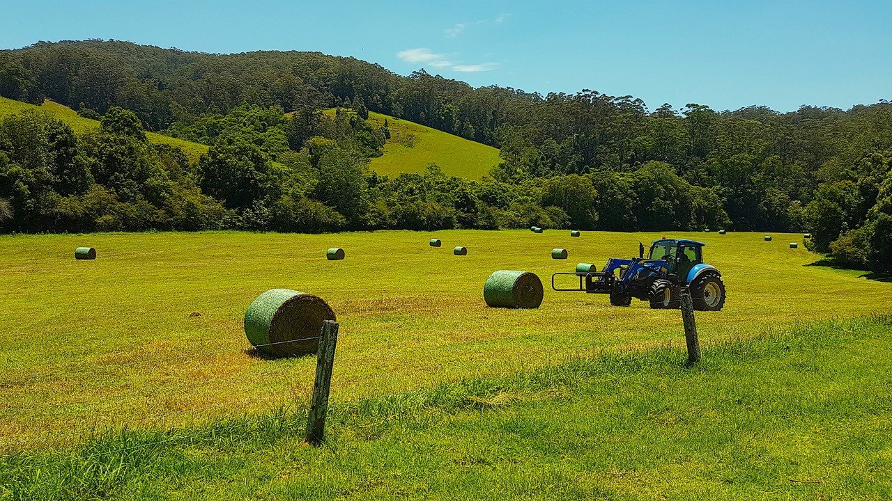  LORNE 4
