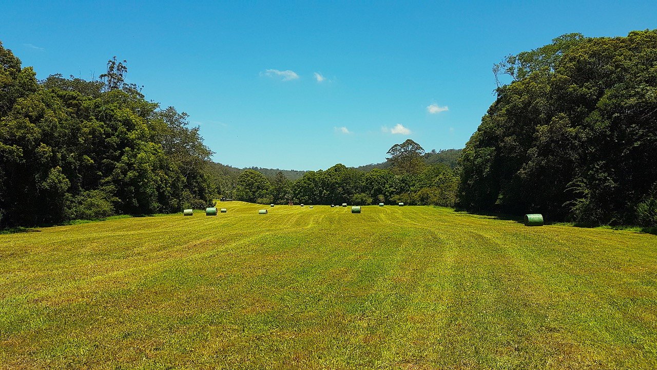  LORNE 16