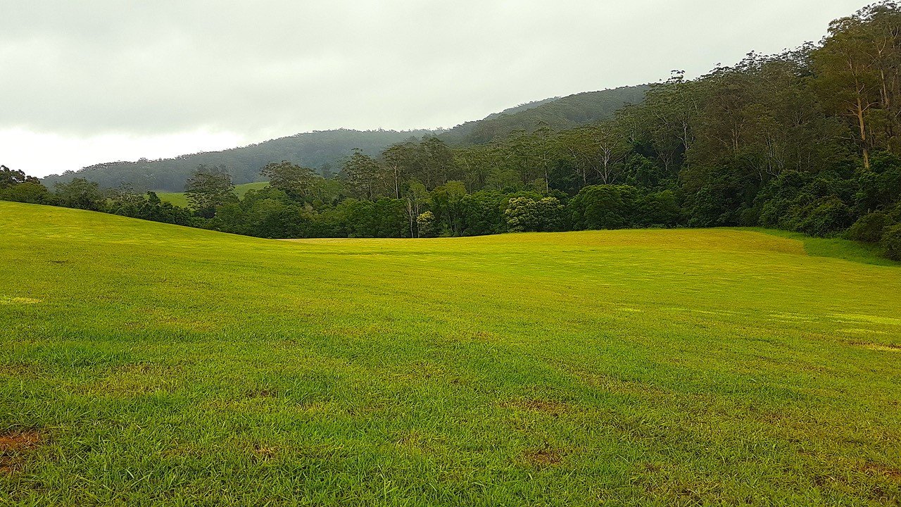  LORNE 17