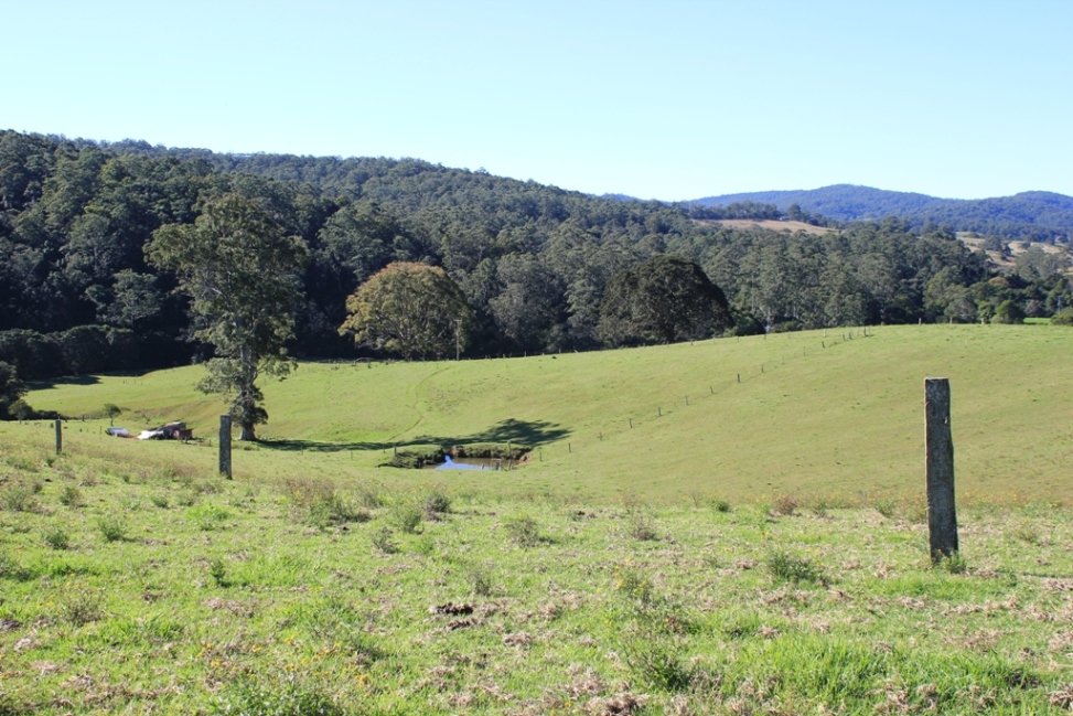  LORNE 1