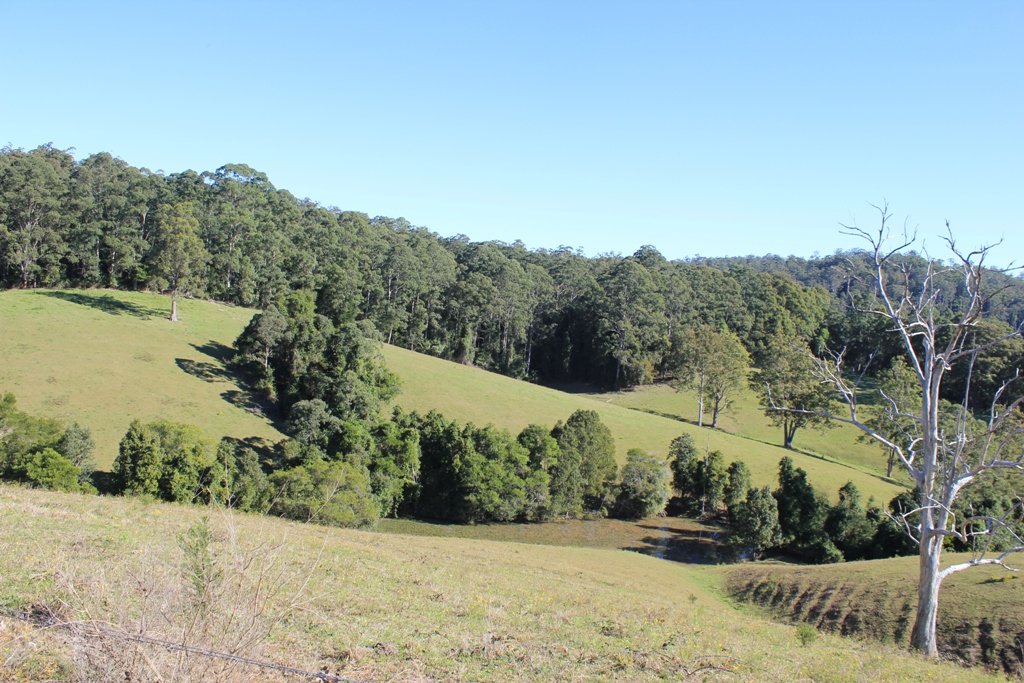  LORNE 2