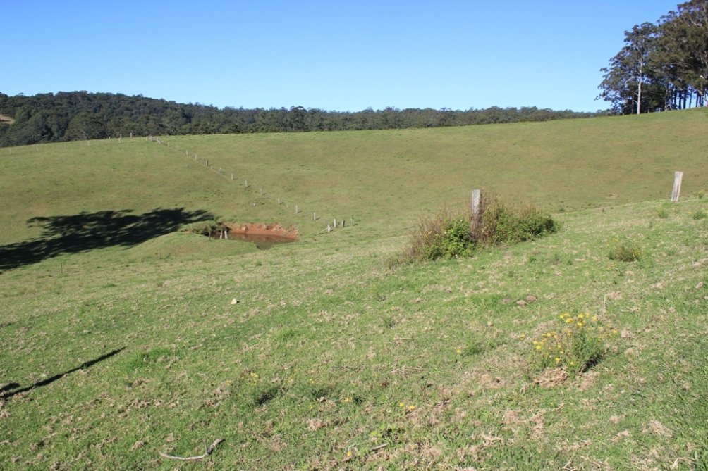  LORNE 4