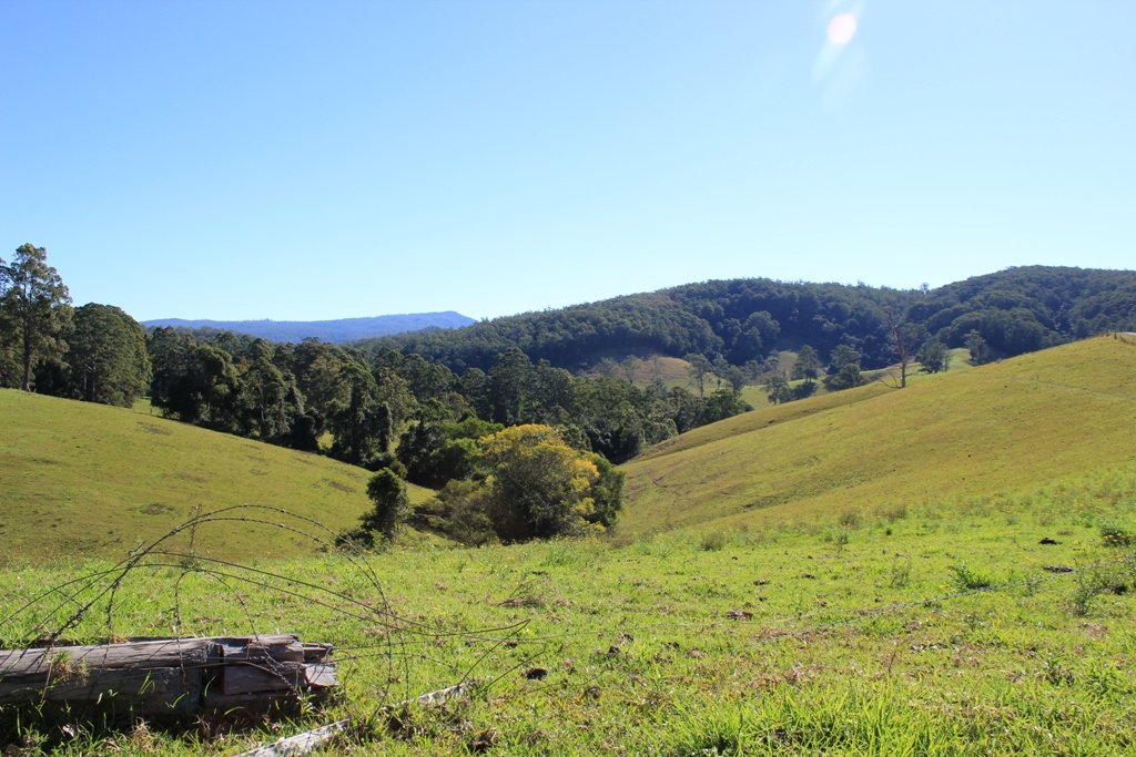  LORNE 5