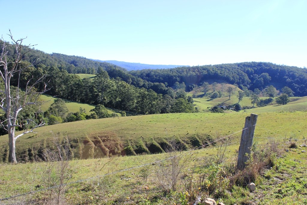  LORNE 6