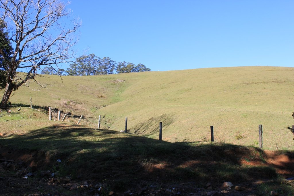  LORNE 7