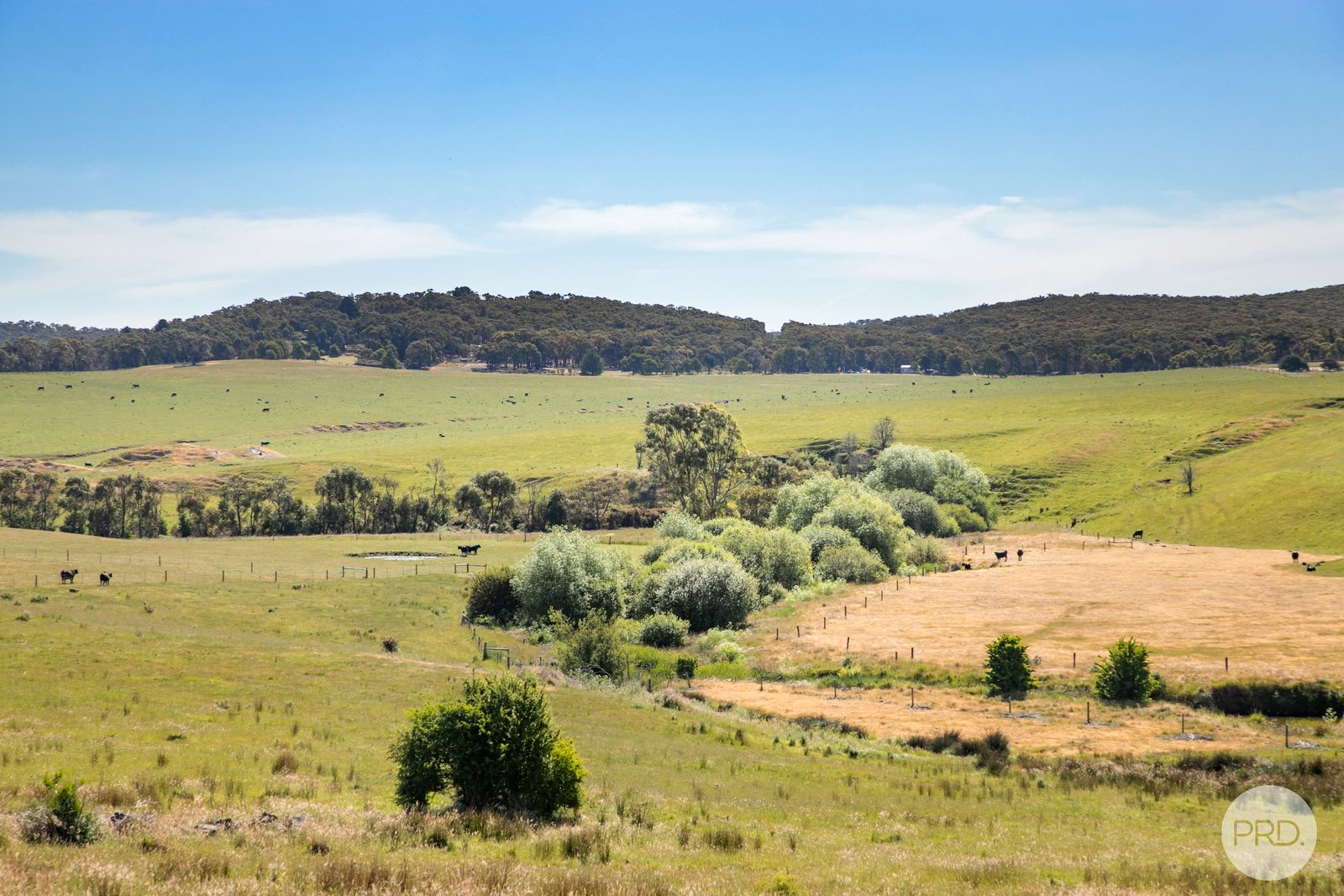 108 Galatea Road NEWTOWN 4