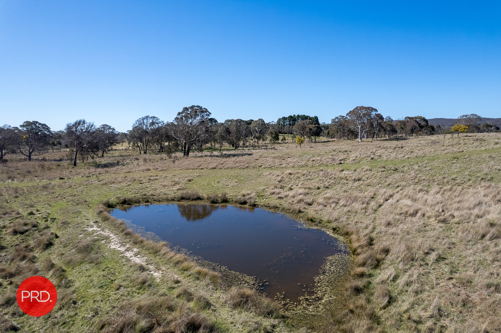 1292 Bungendore Road BYWONG 7