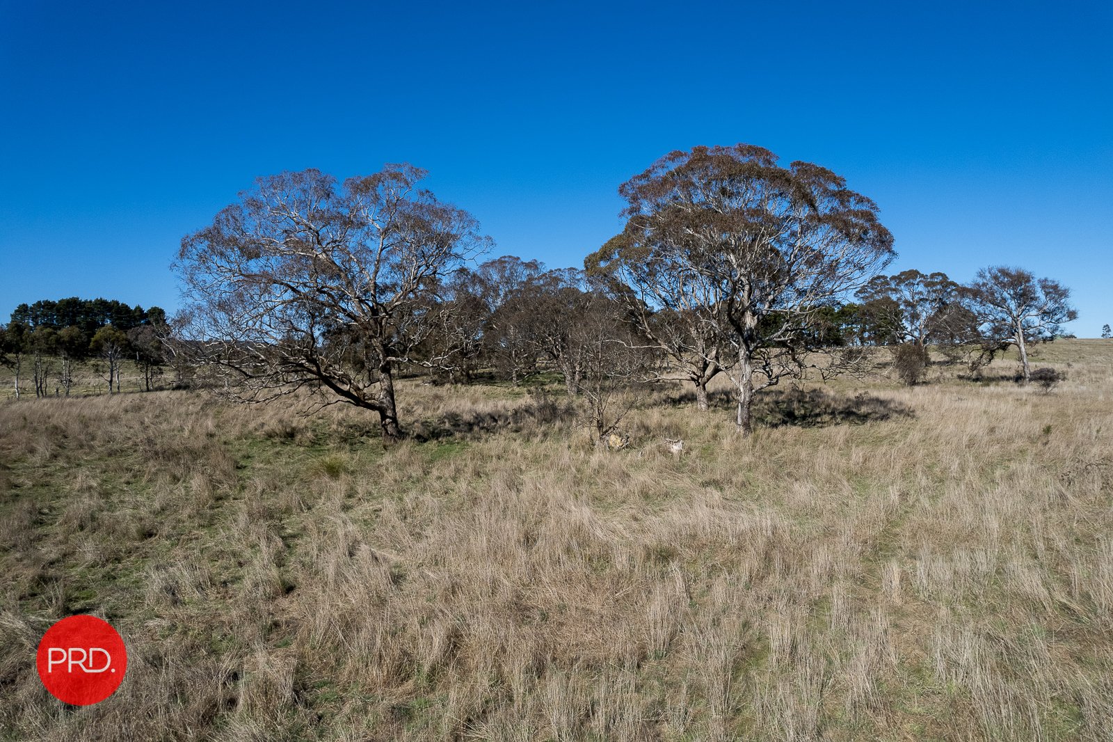 1292 Bungendore Road BYWONG 9