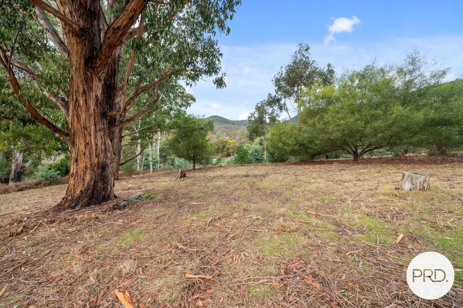 140 Wyre Forest Road MOLESWORTH 1