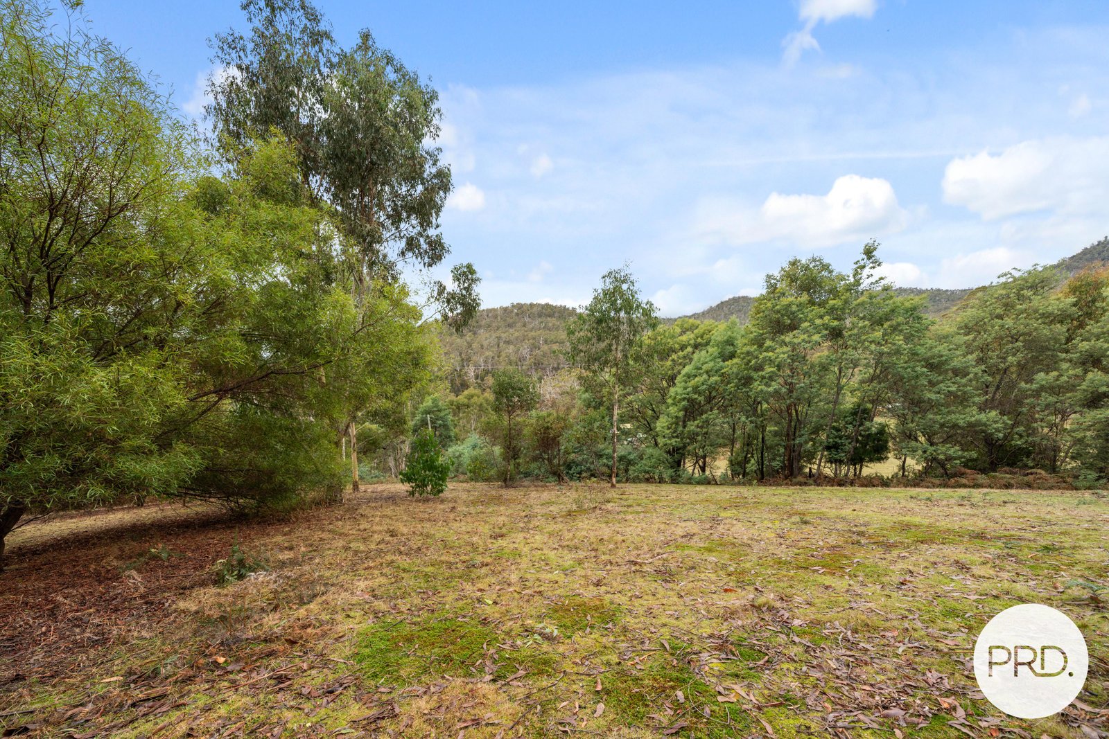 140 Wyre Forest Road MOLESWORTH 3