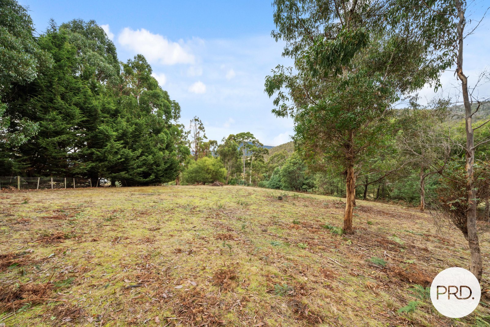 140 Wyre Forest Road MOLESWORTH 5