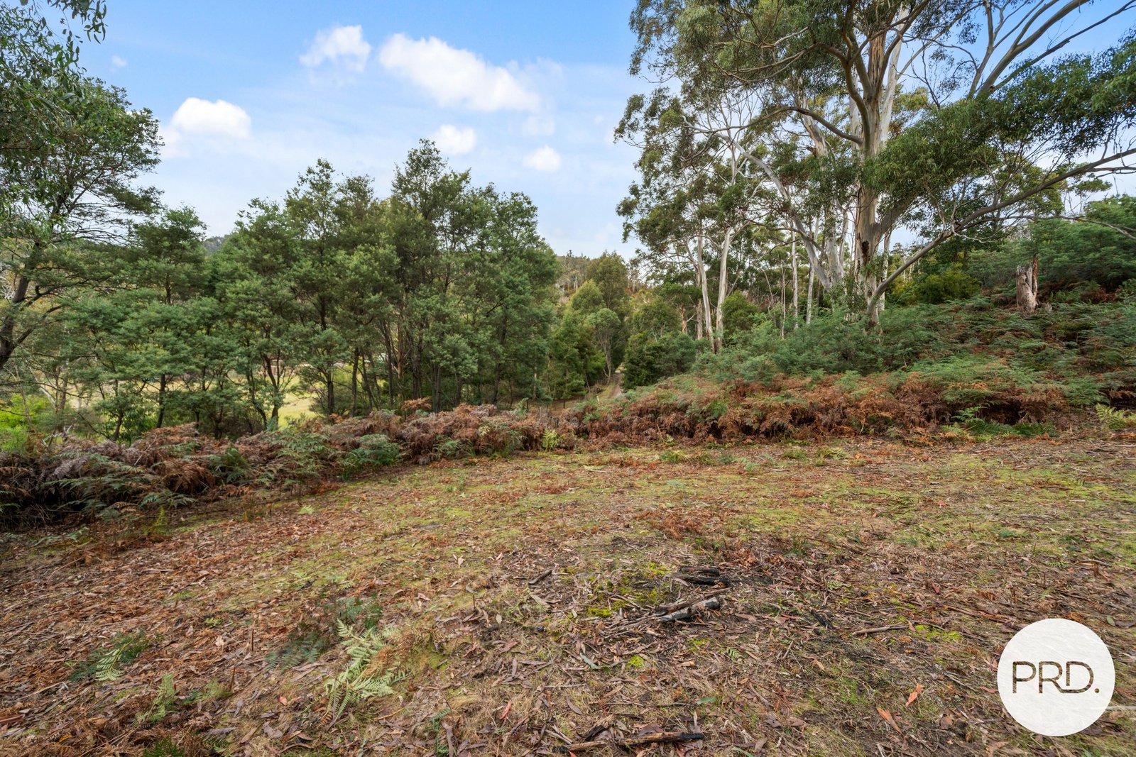 140 Wyre Forest Road MOLESWORTH 6