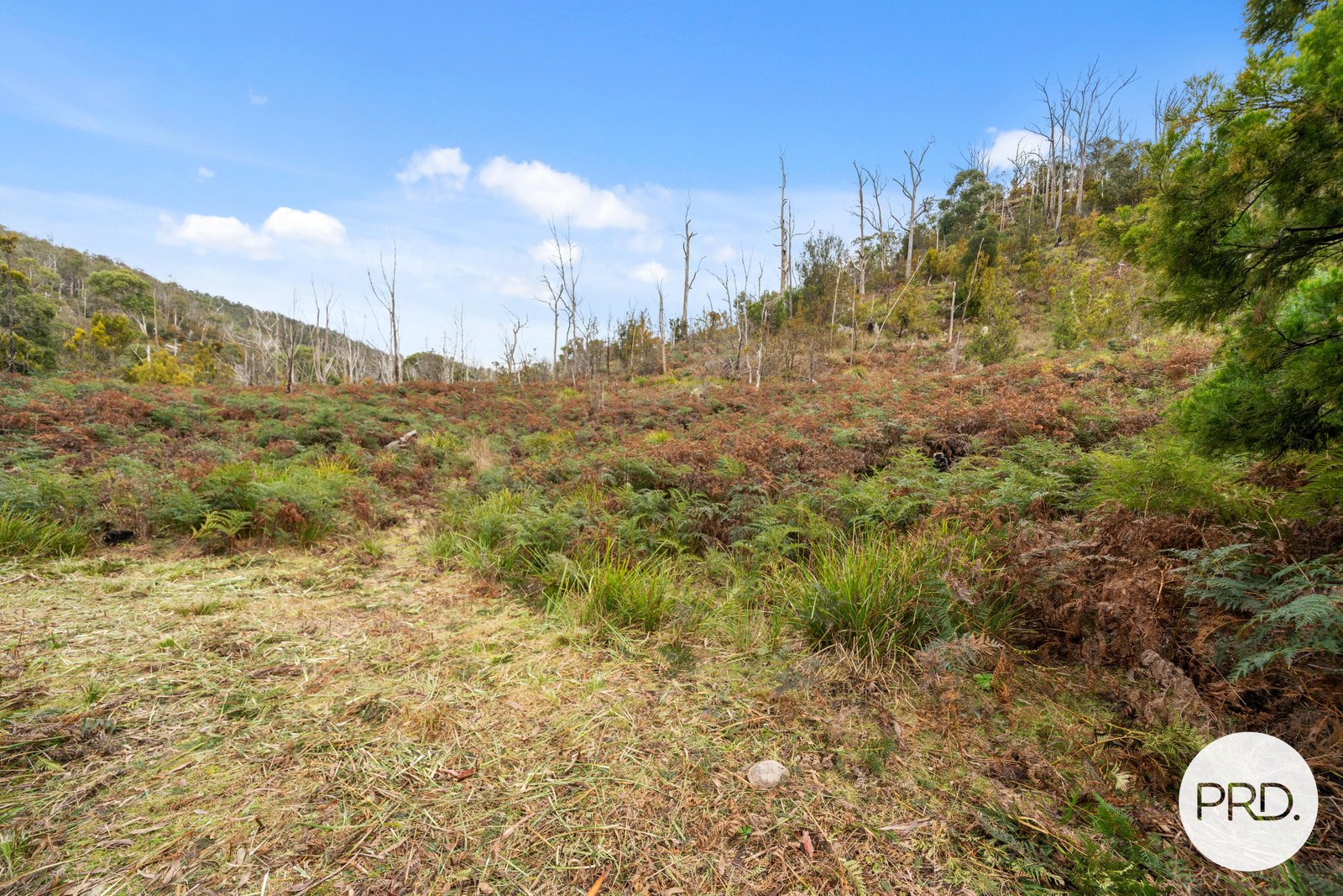 140 Wyre Forest Road MOLESWORTH 7