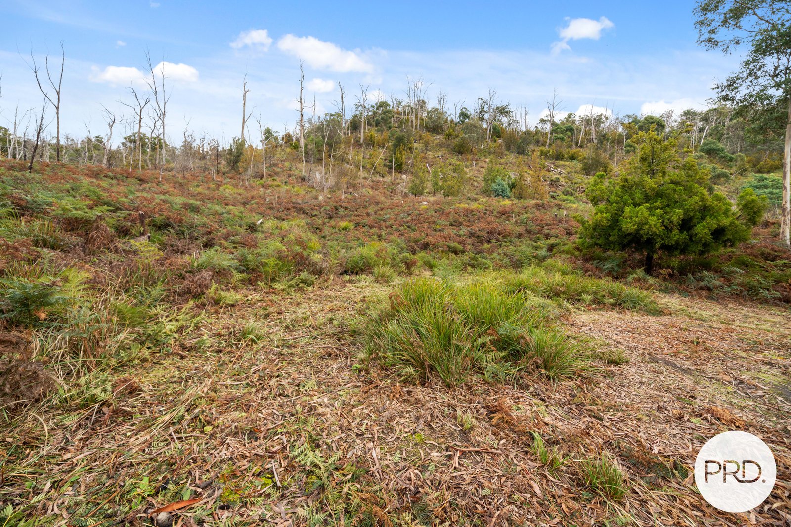 140 Wyre Forest Road MOLESWORTH 8