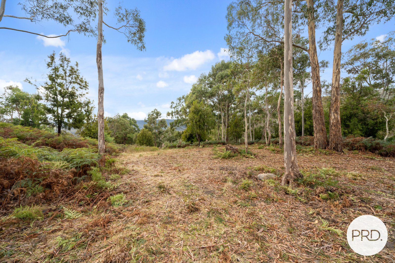 140 Wyre Forest Road MOLESWORTH 10