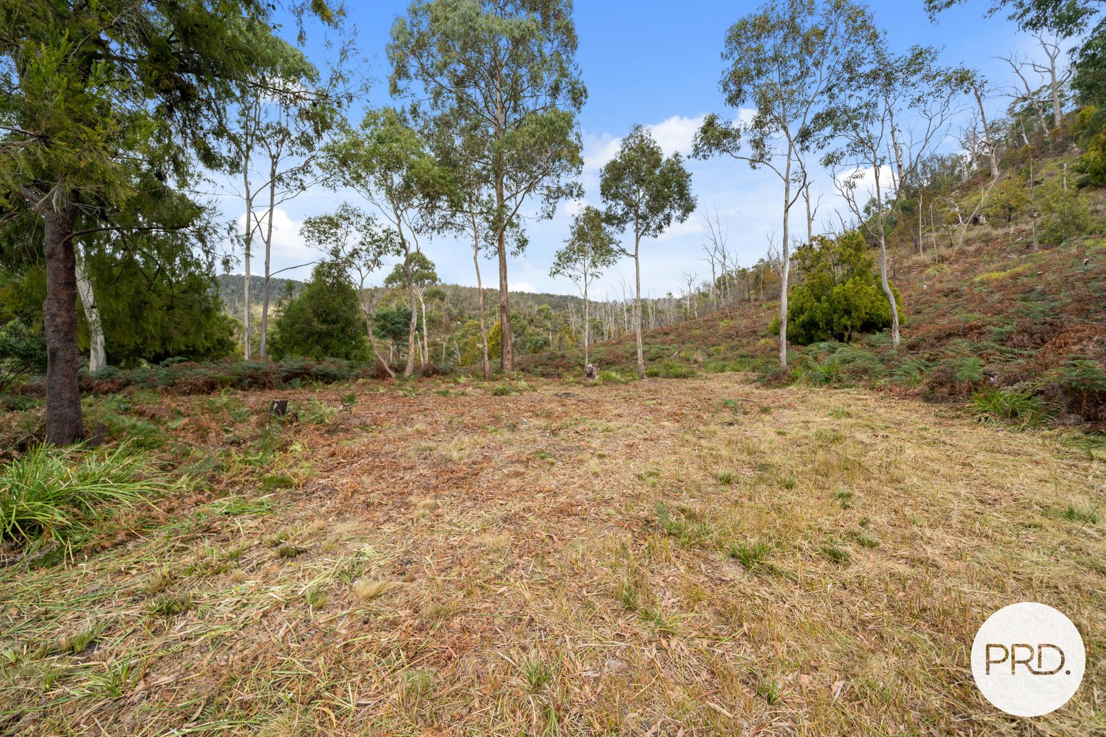 140 Wyre Forest Road MOLESWORTH 11