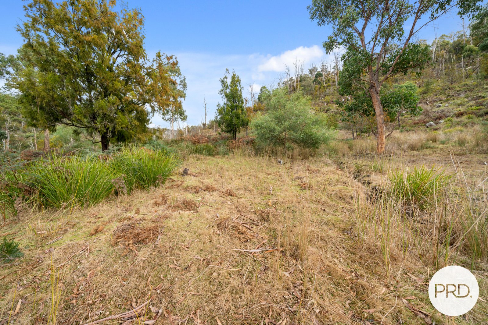 140 Wyre Forest Road MOLESWORTH 12