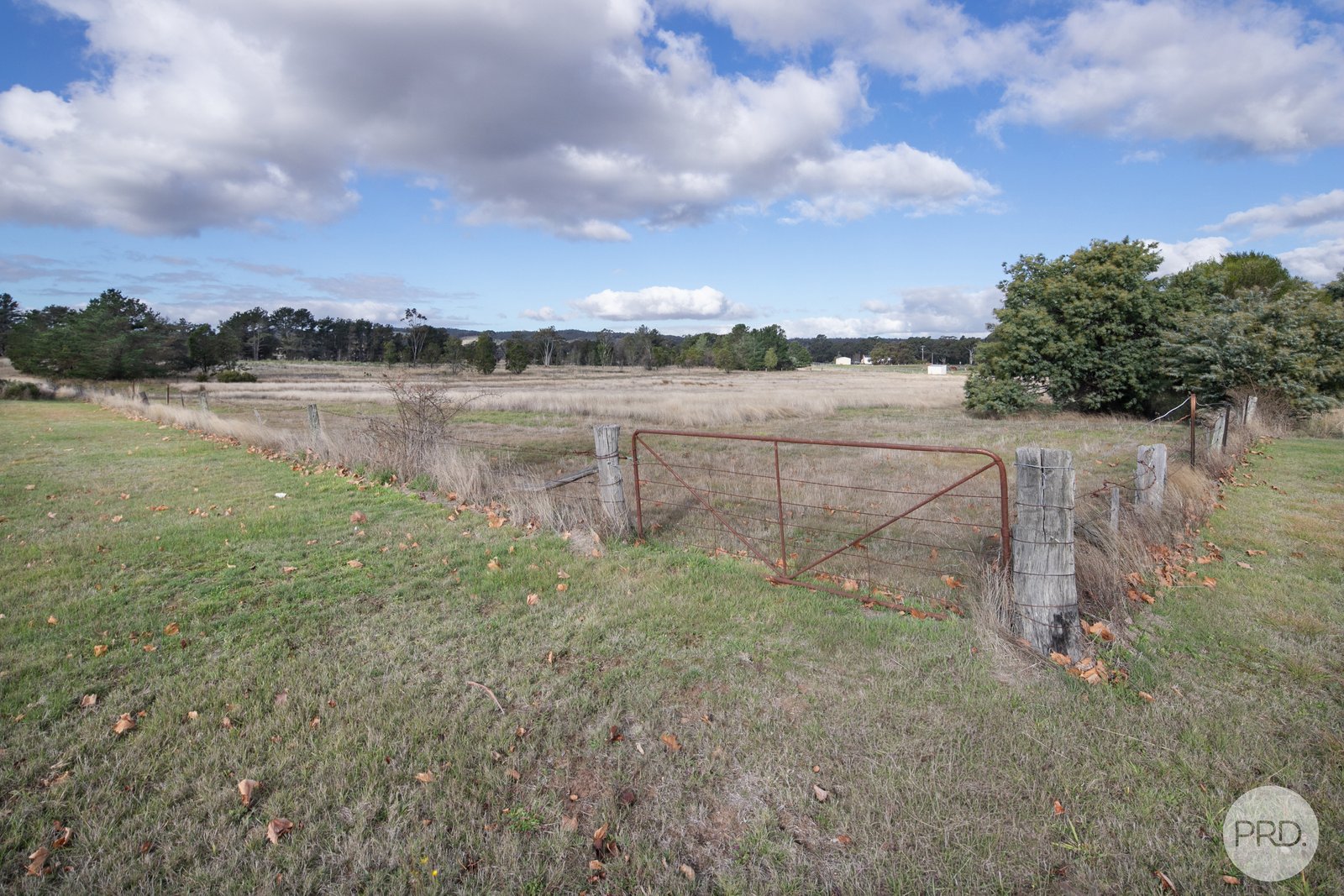 152 Raglan-Elmhurst Road RAGLAN 2