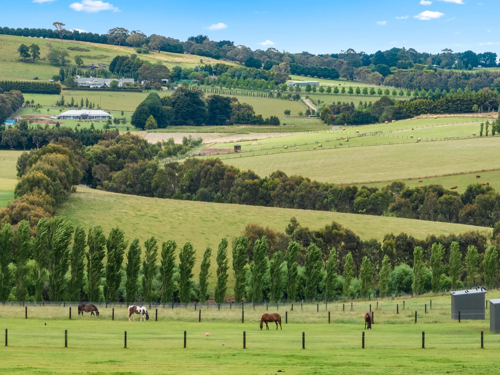 Real Estate and Property in Lot 1 1781 Romsey Road, Romsey, VIC