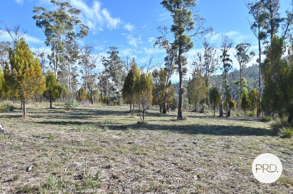 215 Glenfern Road GLENFERN 13