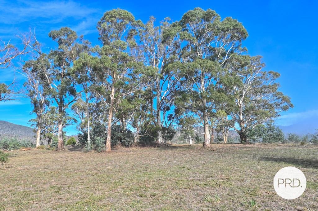 215 Glenfern Road GLENFERN 17