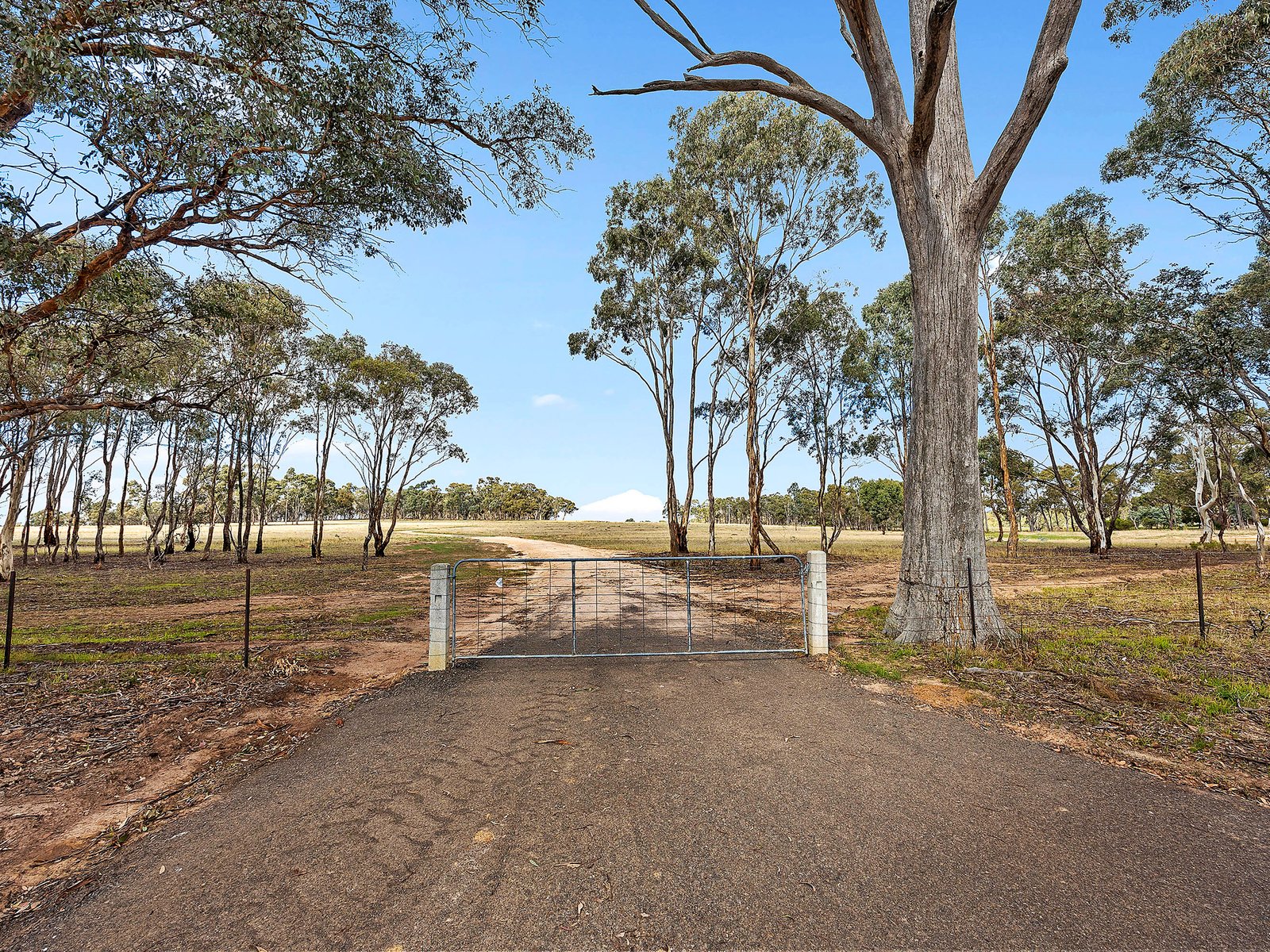 Gallery: 227 Mannes Lane