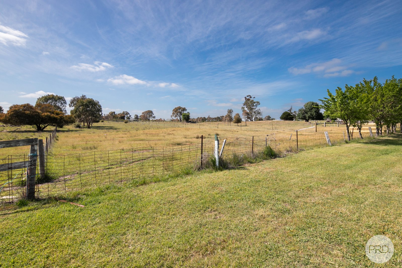 3 Angus Street CLUNES 3